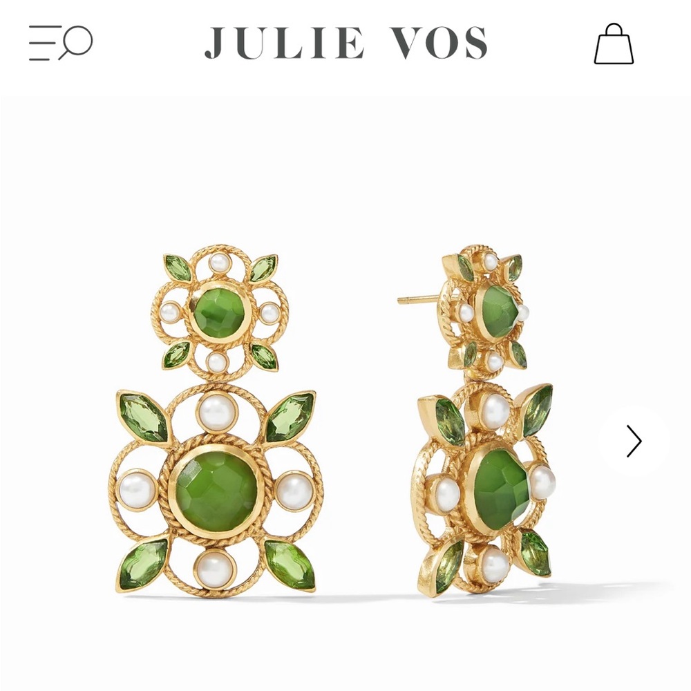 Beautiful statement earrings - NWT!